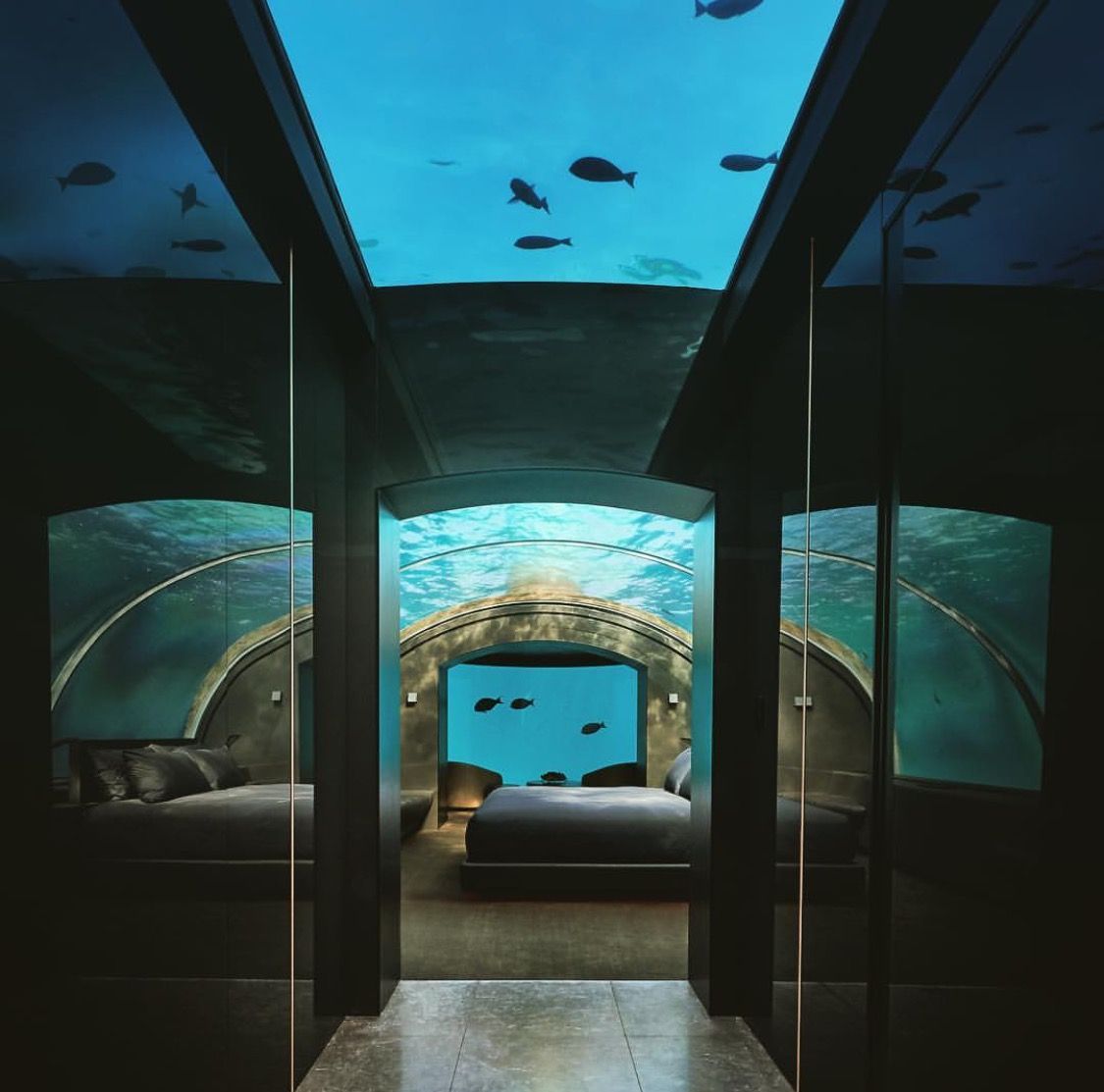 نمای داخلی هتل موراکا در مالدیو