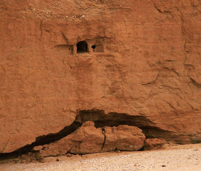 کال جنی طبس