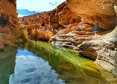 طبیعت زیبای کال جنی در طبس